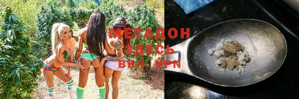 стаф Новодвинск