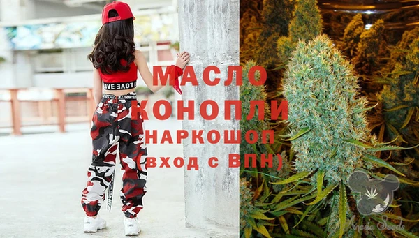 стаф Новодвинск