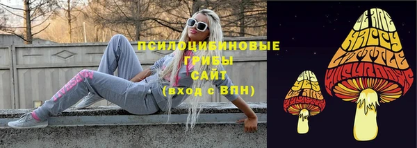 герыч Няндома